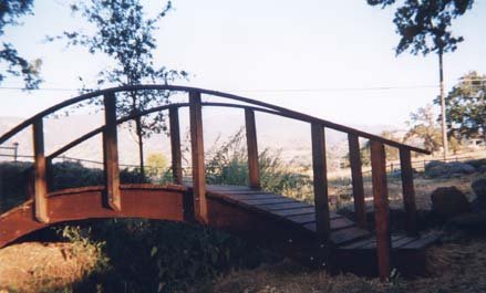 Bridge: Photo by Michaela Roessner