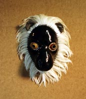 Black Lemur