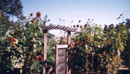Click to enlarge details of SUMMER GATE, photo by Michaela Roessner