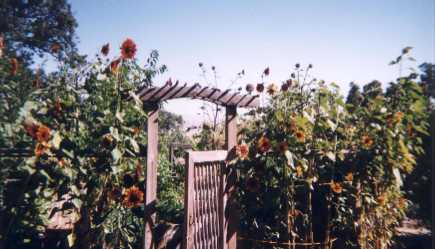 Click to enlarge details of SUMMER GATE, photo by Michaela Roessner